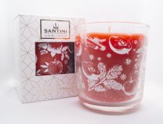 Πολυτελές κερί Santini - Μήλο και κανέλα, 200g